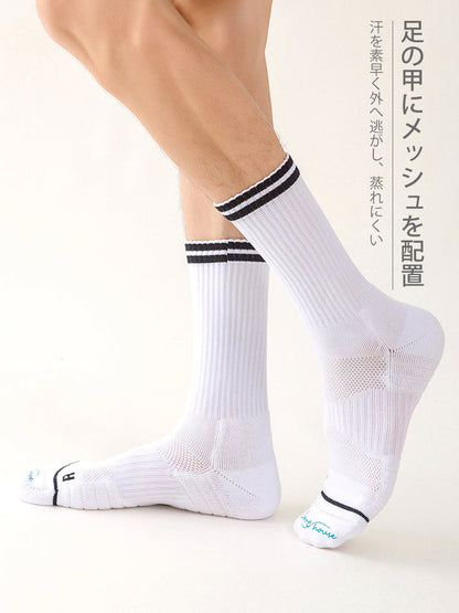 メンズ  スポーツ ダブルライン 普段使い クルーソックス